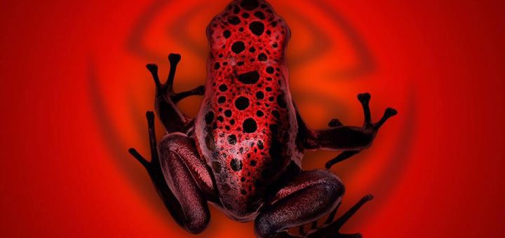 Nonpoint - The Poison Red Cover