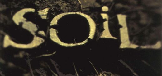 SOIL + SALIVA + Sons Of Texas- Europatour im Winter