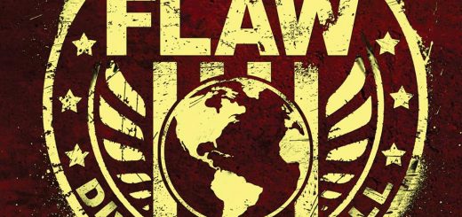 FLAW - Divided We Fall