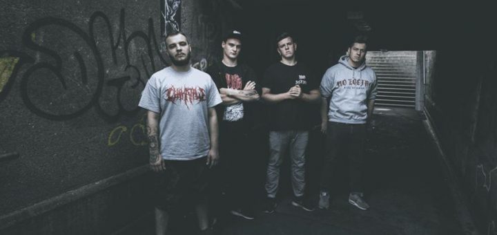 CHAMBER OF MALICE - Neues Album im Herbst