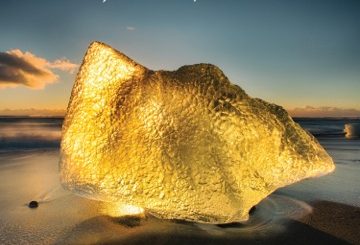 GONE IS GONE – Echolocation (VÖ: 06.01.17)