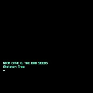 Nick Cave & The Bad Seeds Skeleton Tree Cover