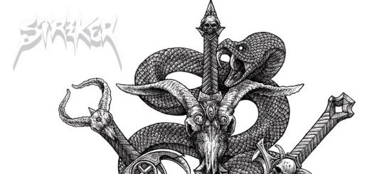 Striker Cover Striker