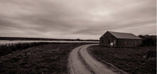 Paradise Lost Studio 720x340