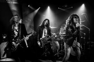 Whitesnake - The Purple Tour - Live Pic
