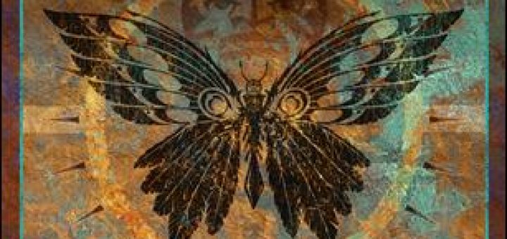 Steve Walsh - Black Butterfly - Cover