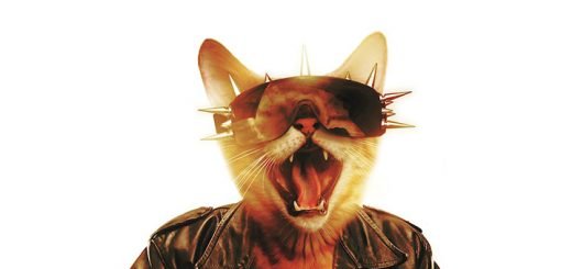 SKINDRED – BIG TINGS (VÖ 27.04.2018)