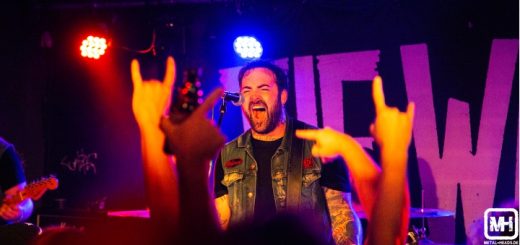 The Wild! Tube Beitragsbild