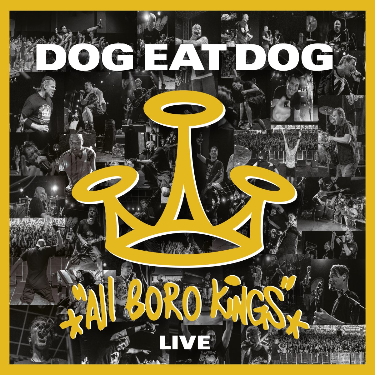 Dog Eat Dog - Jahresrückblick 2019