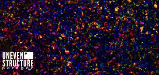 uneven structure paragon