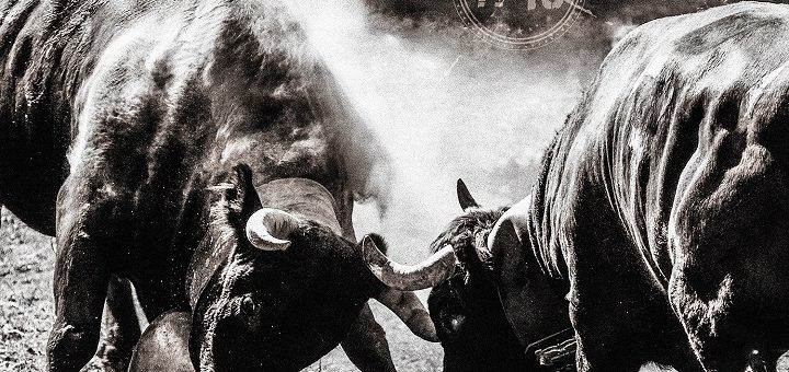 Gotthard - #13 - Artwork