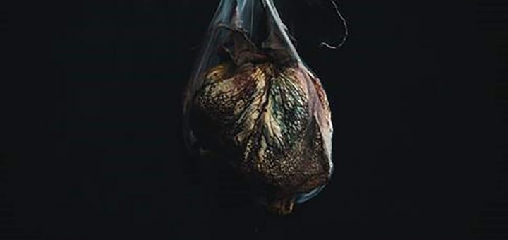 Trivium What The Dead Men Say