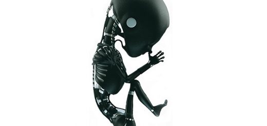 Progressive Souls Collective Sonic Birth Albumcover - Beitragsbild