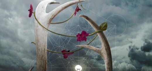 OCEANA - Albumcover - The pattern - Beitragsbild