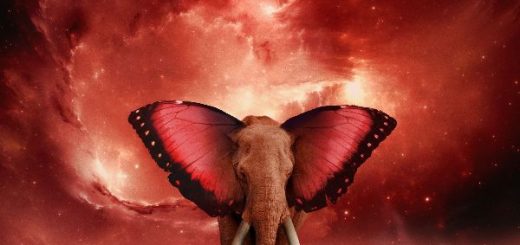 Tom Morello The Atlas Underground Fire