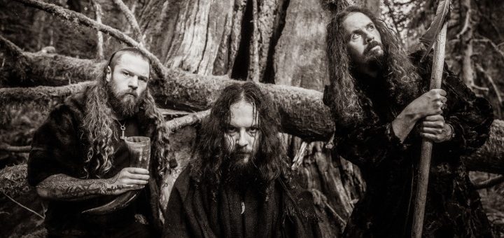 Die drei Musiker unterhalb eines Baumes im Wald.