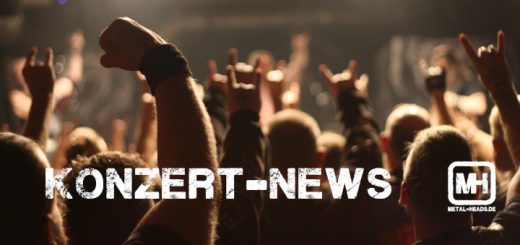 Ein Metalkonzert-Publikum streckt die Hände in die Höhe.