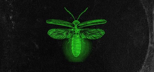 Albumcover R3VO Fireflies EP - Beitragsbild