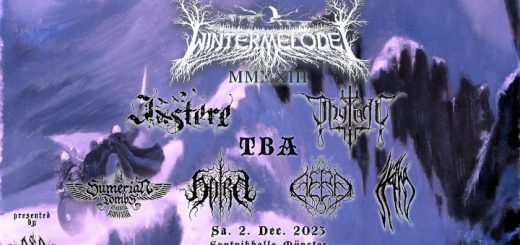 Wintermelodei-Festival 2023: Artwork und Plakat