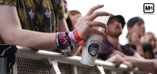 In der ersten Reihe steht ein Mensch mit einem Vainstream-Becher.