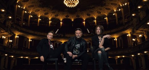 Stan Silver and The Brave Puppies