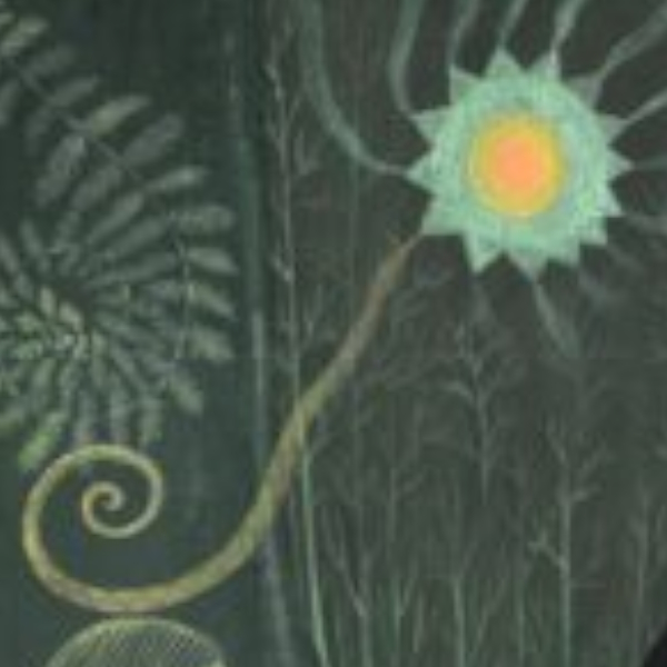 serendipitous meeting 4