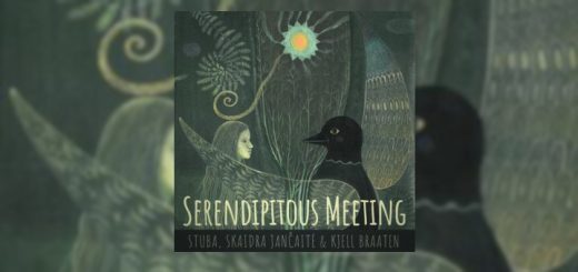 serendipitous meeting cover review