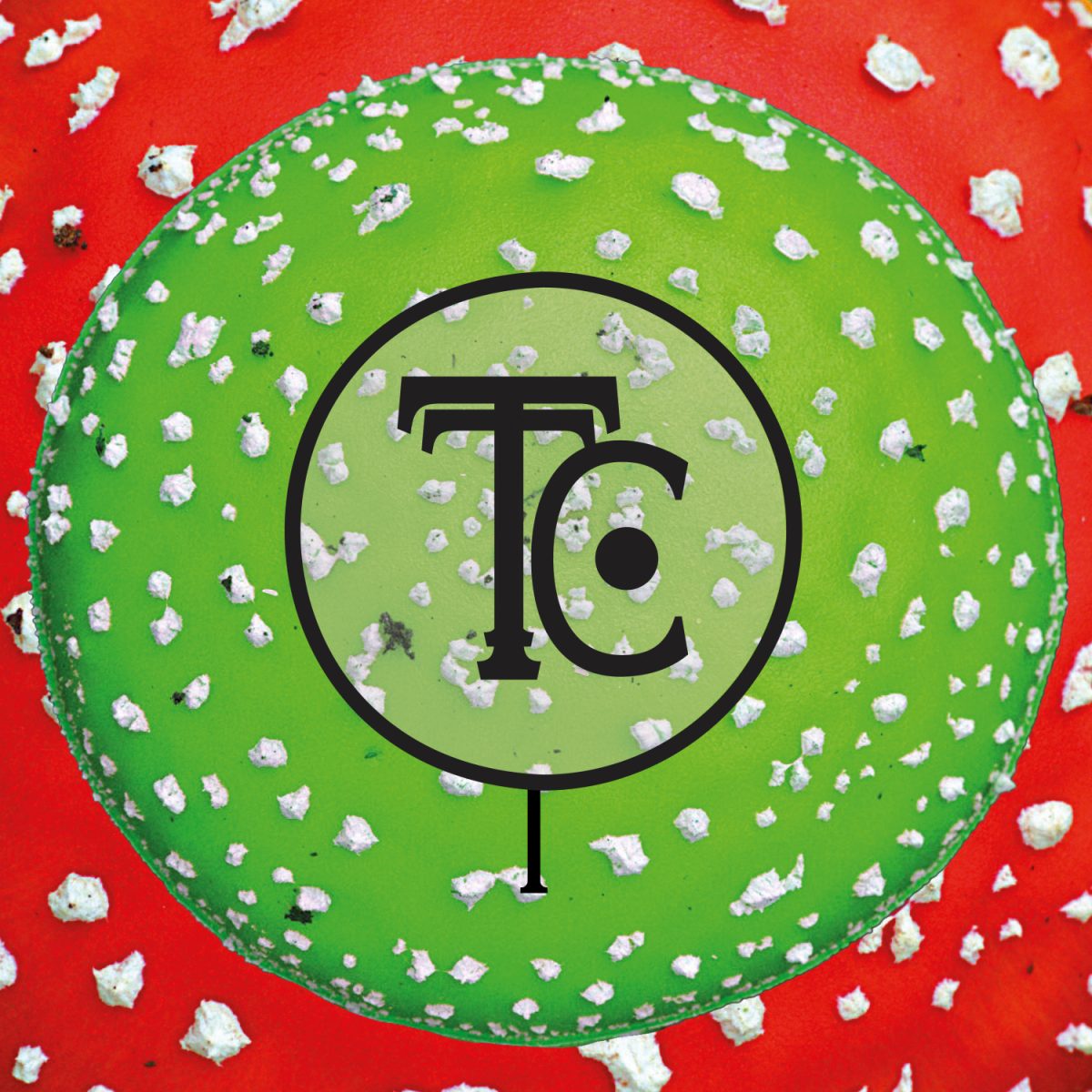 cover The Third Circle - I