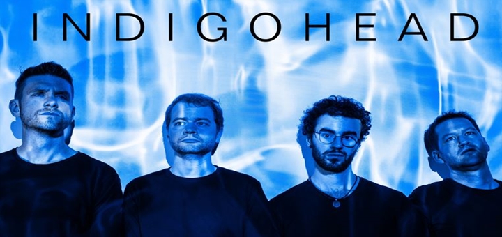 INDIGOHEAD