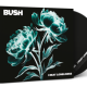 BUSH I Beat Loneliness CD