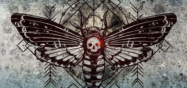 PAVIC - Albumcover - Beitragsbild