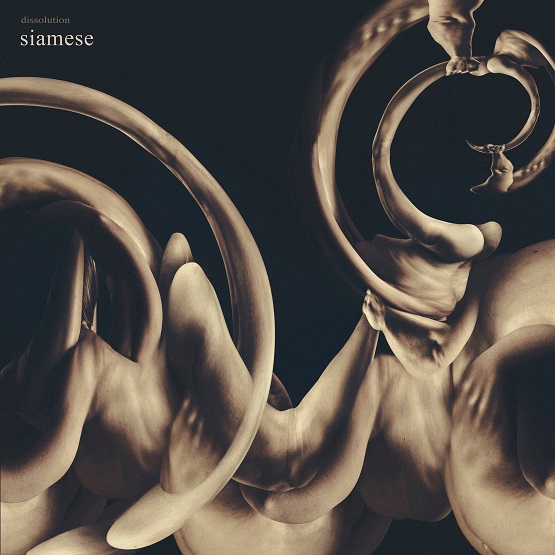 SIAMESE - Albumcover dissolution