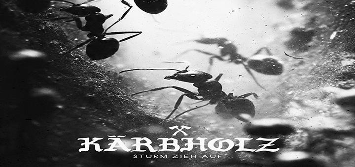 Kärbholz