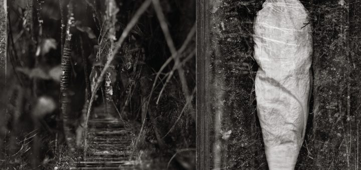 Das Artwork zeigt im rechten Bildbereich eine in Leinen gelegte Leiche in einem Grab und im linken Bildbereich eine unklar erkennbare Naturszene mit einer Treppe, alles in schwarz-weiß.